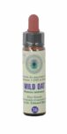 Wild Oat n° 36 Fleur de Bach  – Folle Avoine 10ml – Savoir où l&rsquo;on va