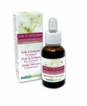 Star of Bethlehem ou Étoile de Bethléem (Ornithogalum umbellatum) Fleurs émotionnelles ou Fleurs de Bach Naturalma – Gouttes 30 ml – Extrait liquide sans alcool – Essences florales – Vegan