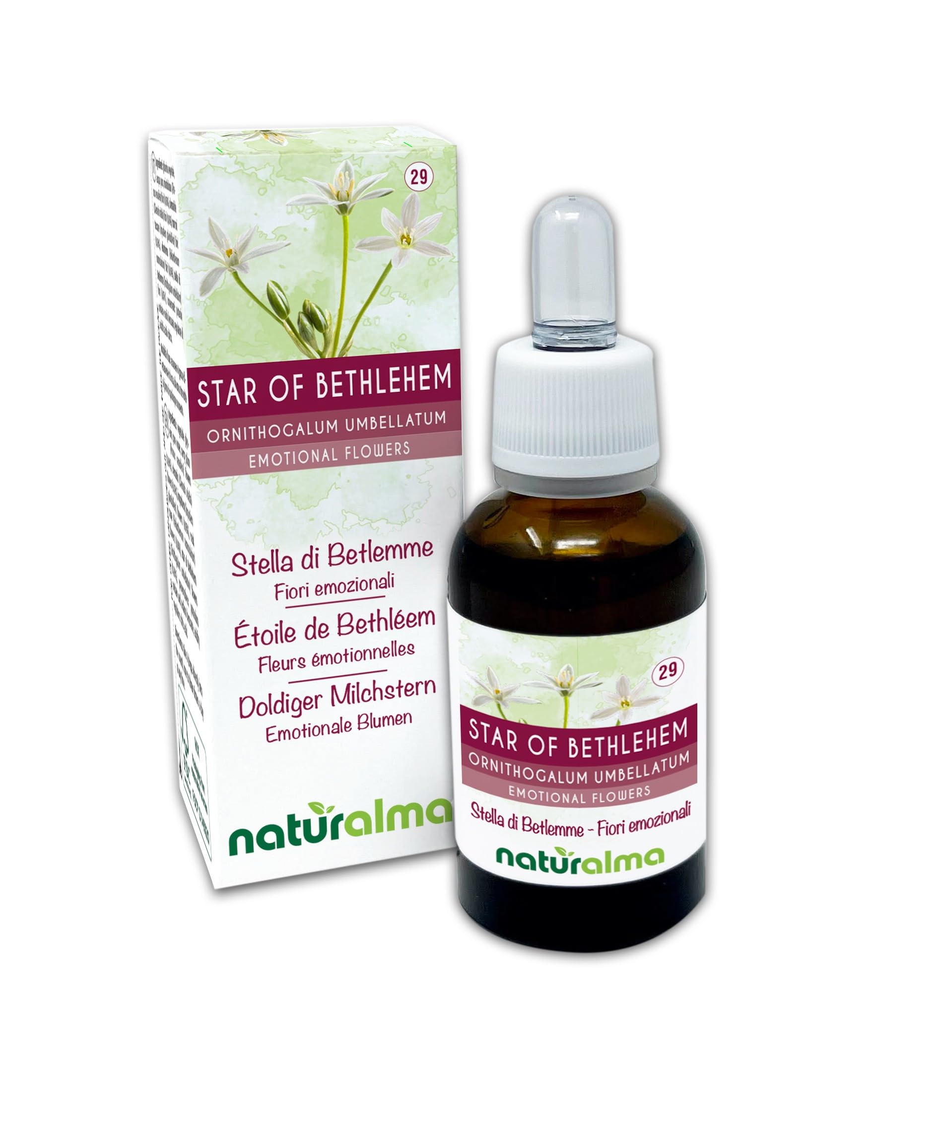 Star of Bethlehem ou Étoile de Bethléem (Ornithogalum umbellatum) Fleurs émotionnelles ou Fleurs de Bach Naturalma – Gouttes 30 ml – Extrait liquide sans alcool – Essences florales – Vegan
