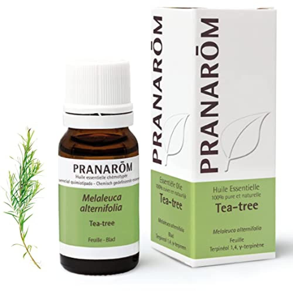 Huile Essentielle de Tea Tree Chémotypée – Défenses Naturelles – 100% Pure Et Naturelle – 10 ml