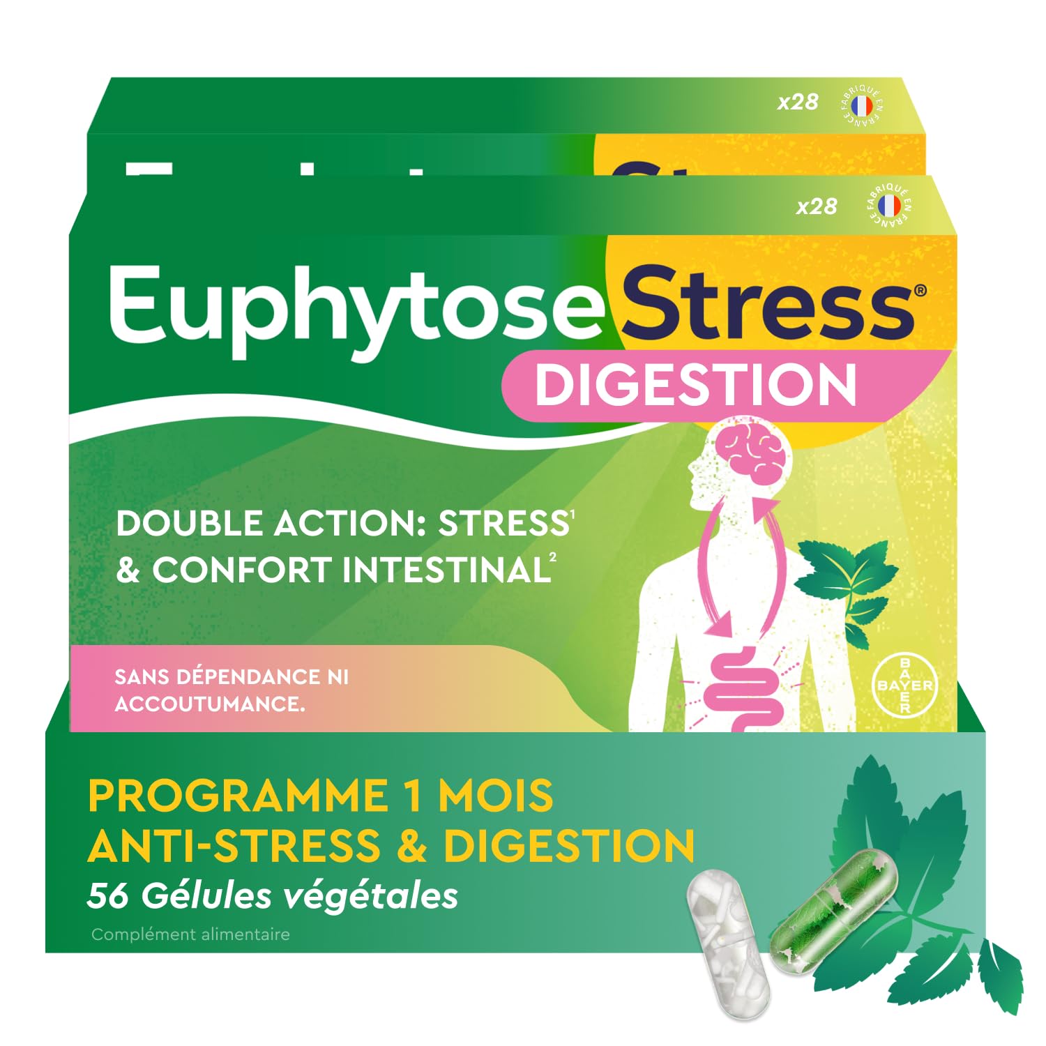 Euphytose Digestion & Anti Stress – Double Action Infoncort Intestinal & Anti Stress Adulte – Mélisse, Probiotiques et Vitamine B2 Maxi Format 56 Gélules