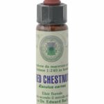 Red Chestnut Fleur de Bach - Farmaflor