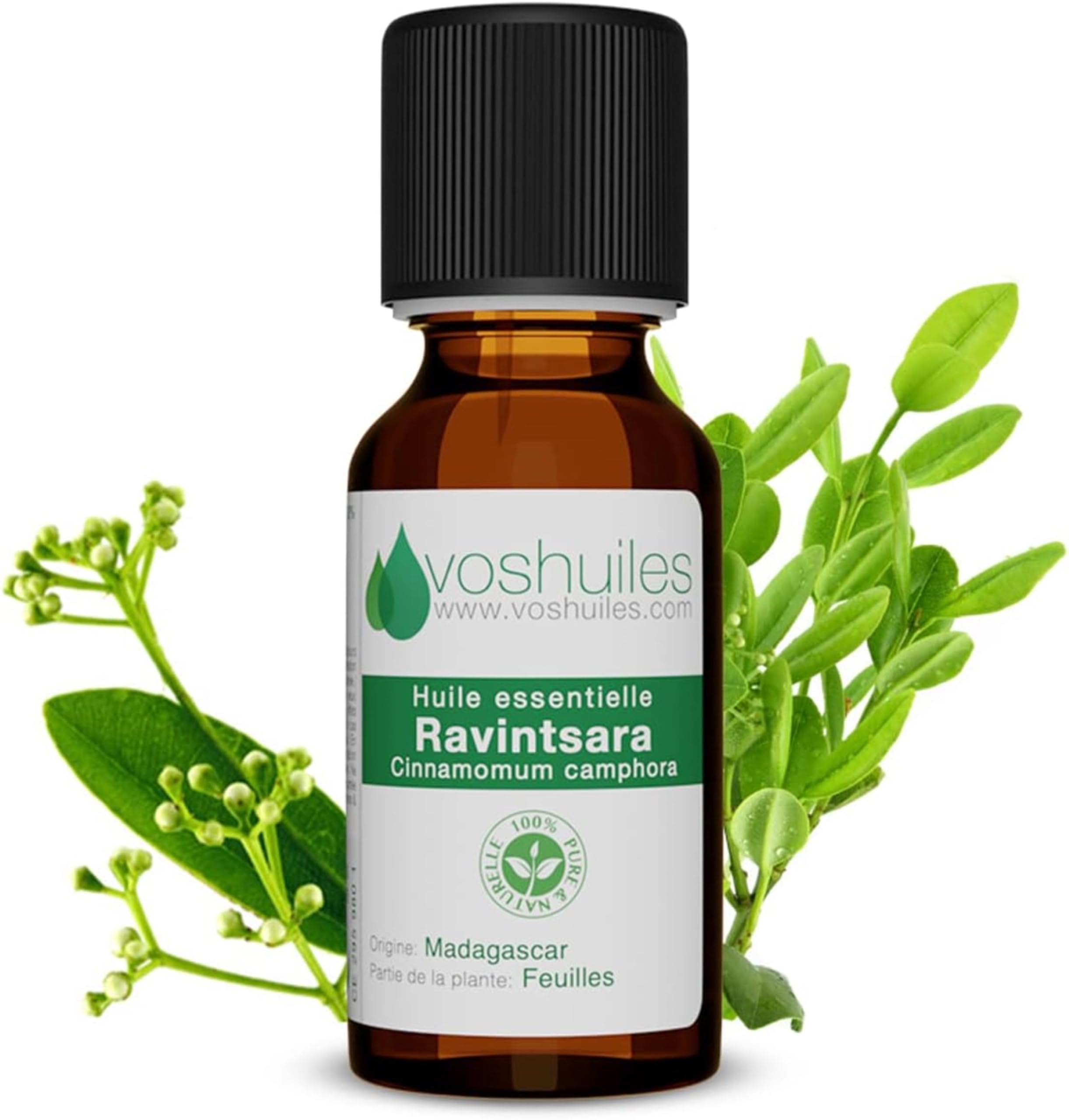 Huile Essentielle de Ravintsara Bio – 125ml – Voshuiles.com – Système immunitaire