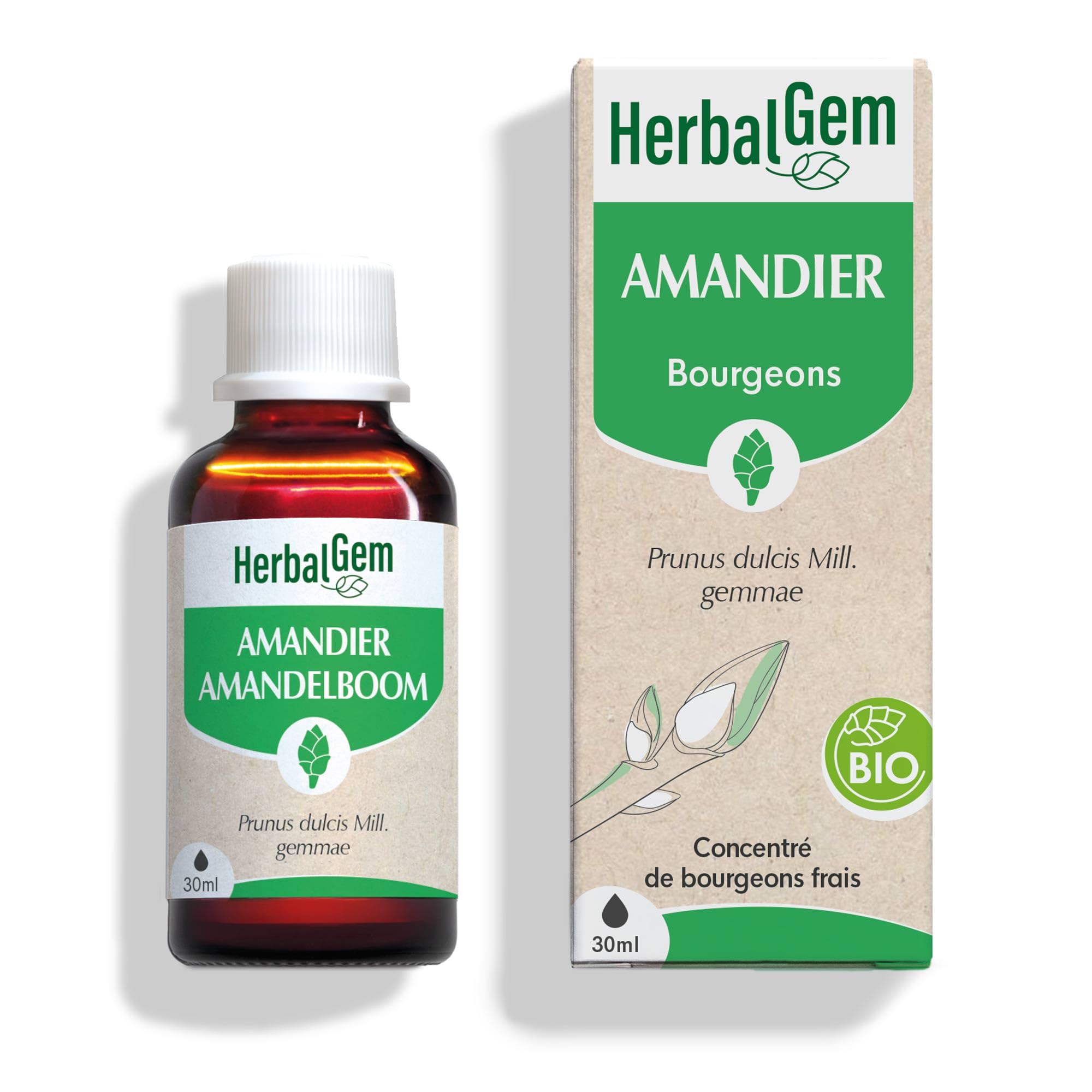 Extrait de Bourgeons frais amandier Bio 30 ml – Herbalgem  – Soutien de la circulation sanguine
