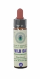 Wild Oat n° 36 Fleur de Bach  – Folle Avoine 10ml – Savoir où l&rsquo;on va