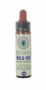 Wild Oat n° 36 Fleur de Bach  – Folle Avoine 10ml – Savoir où l&rsquo;on va