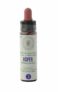 Fleur De Bach Aspen n° 2  Farmaflor 10ml – Allège les angoisses diffuses