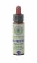 Fleur de Bach Red Chestnut n° 25 Farmaflor – 10ml – Pour arrêter d&rsquo;avoir peur pour les autres