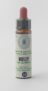 Fleur De Bach Holly n° 15  Farmaflor 10ml – Apaise la colère