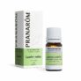 Huile Essentielle Laurier Noble | Laurus Nobilis | Feuille | HECT | 5 Ml