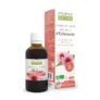Echinacée Bio – Propos&rsquo;nature – 50 ml – Renforcement des défenses naturelles