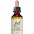 Extrait de Bourgeons frais amandier Bio 30 ml – Herbalgem  – Soutien de la circulation sanguine