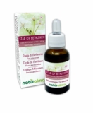 Star of Bethlehem ou Étoile de Bethléem (Ornithogalum umbellatum) Fleurs émotionnelles ou Fleurs de Bach Naturalma – Gouttes 30 ml – Extrait liquide sans alcool – Essences florales – Vegan