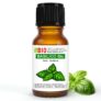 Huile Essentielle Basilic Bio 10 ml – Laborbio – Digestion